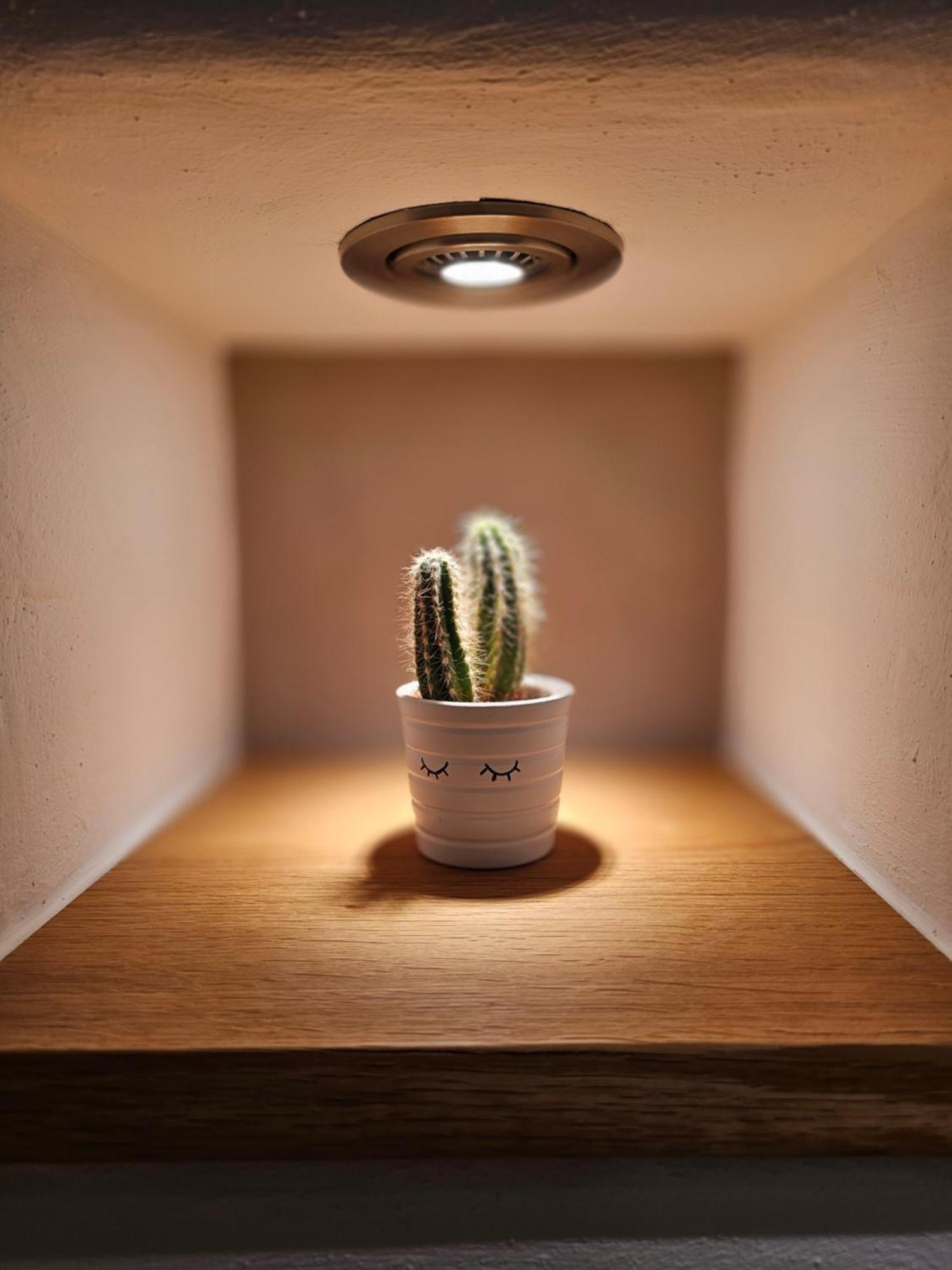 Ferienapartment Wilma Grunsfeld Buitenkant foto